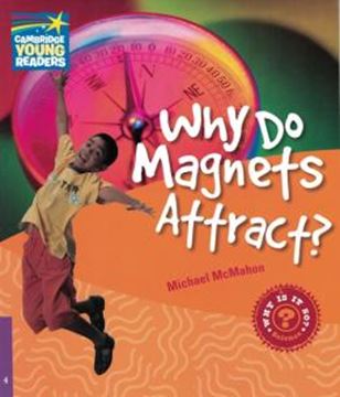 Imagem de WHY DO MAGNETS ATTRACT? - LEVEL 4